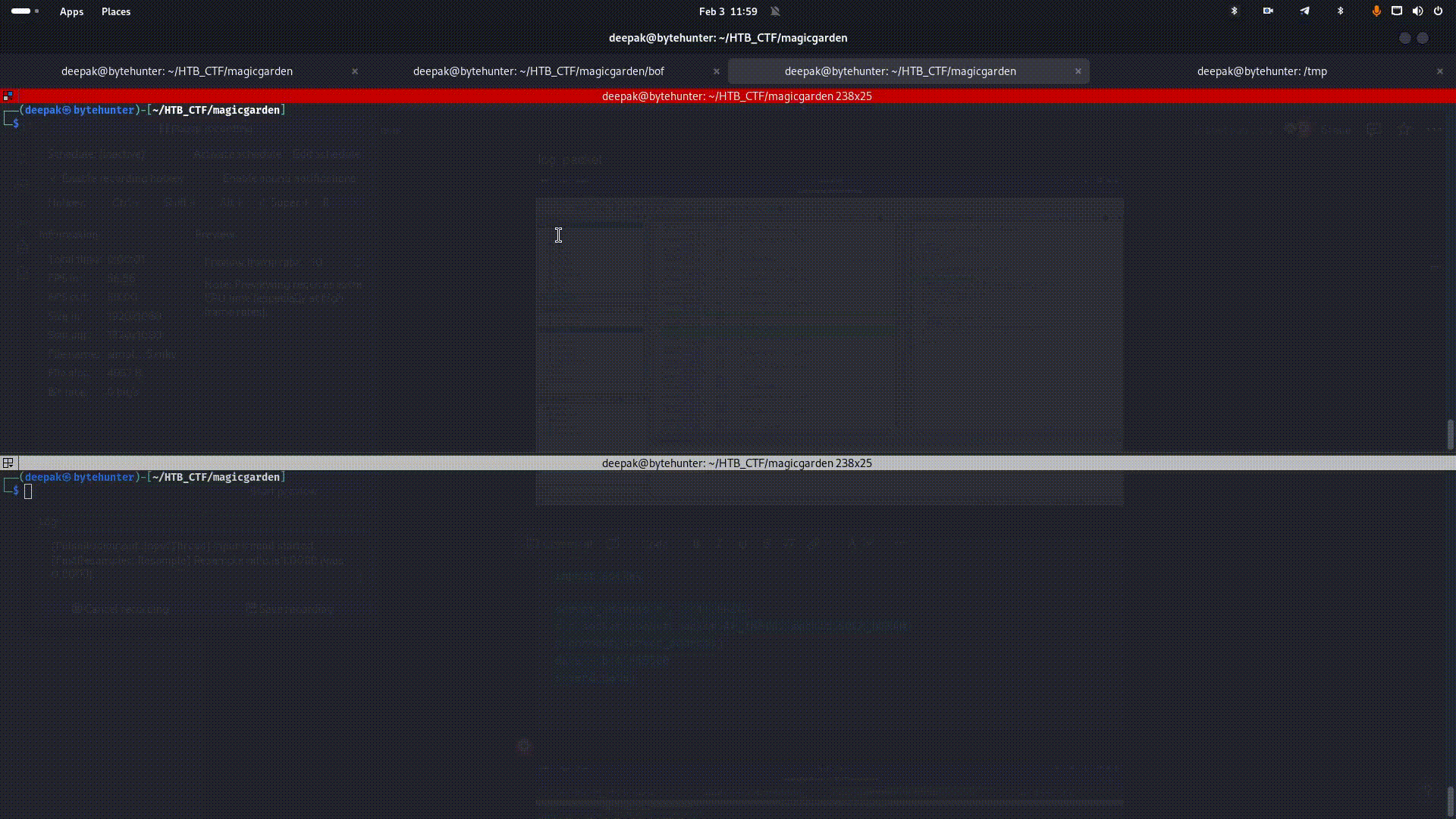 GIF Animation